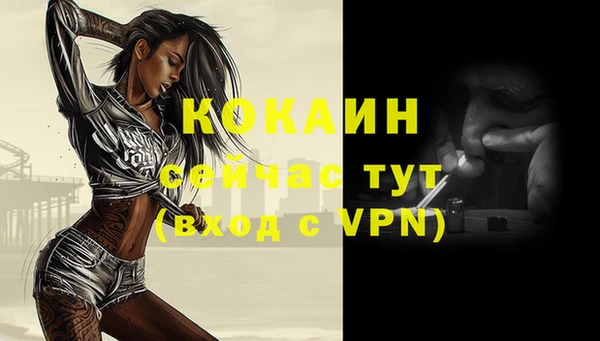 стаф Каменка