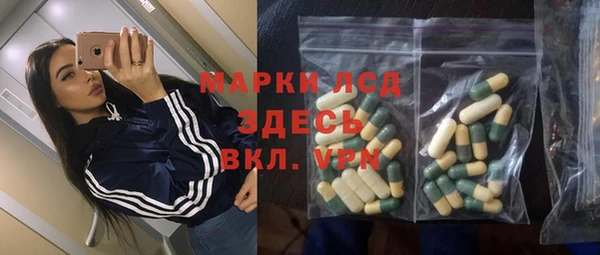 стаф Каменка