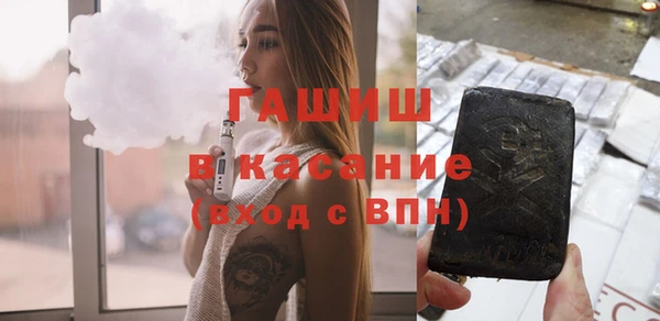 стаф Каменка