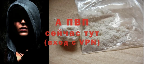 стаф Каменка