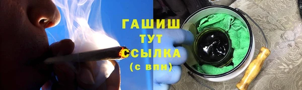 стаф Каменка
