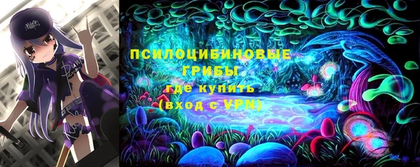 гидра Каменск-Шахтинский