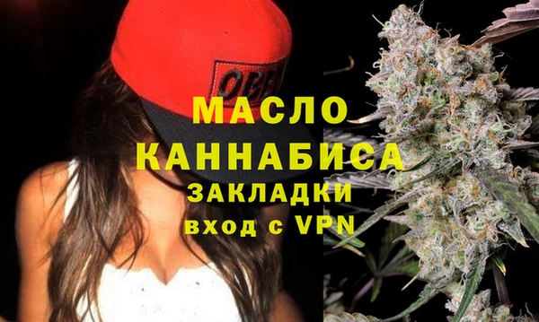 стаф Каменка