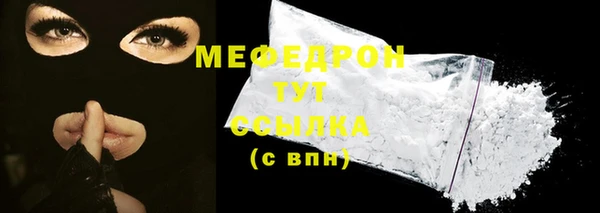 стаф Каменка