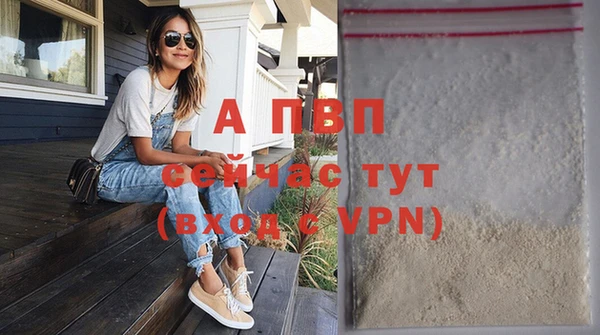 ПСИЛОЦИБИНОВЫЕ ГРИБЫ Каменногорск