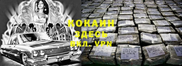 ПСИЛОЦИБИНОВЫЕ ГРИБЫ Каменногорск