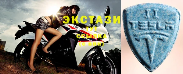 стаф Каменка