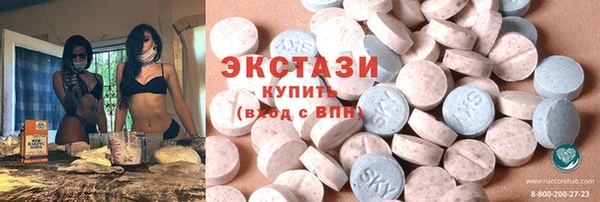 стаф Каменка