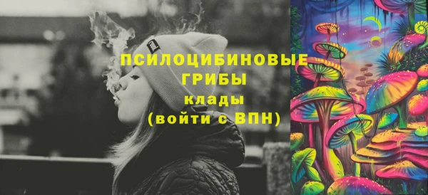 гидра Каменск-Шахтинский