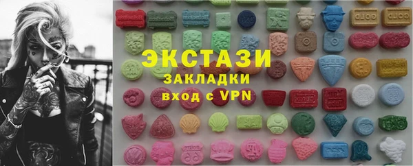 стаф Каменка