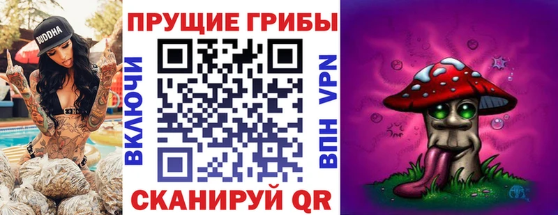 Купить закладки  Краснослободск  Галлюциногенные грибы MAGIC MUSHROOMS 